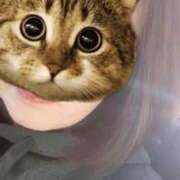 ヒメ日記 2026/03/13 15:44 投稿 みの 即アポ奥さん～浜松店～