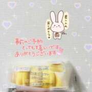 ヒメ日記 2026/01/17 04:16 投稿 しほ 千葉人妻花壇