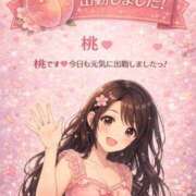 ヒメ日記 2026/02/13 12:06 投稿 桃 ダイスキ