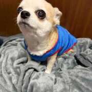 ヒメ日記 2026/01/05 09:20 投稿 なつみ Beppin house