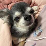 ヒメ日記 2026/01/08 09:01 投稿 なつみ Beppin house