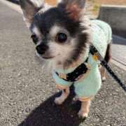 ヒメ日記 2026/01/08 13:40 投稿 なつみ Beppin house