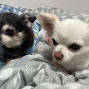 ヒメ日記 2026/01/09 08:20 投稿 なつみ Beppin house