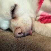 ヒメ日記 2026/01/09 12:20 投稿 なつみ Beppin house