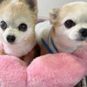 ヒメ日記 2026/01/09 16:08 投稿 なつみ Beppin house