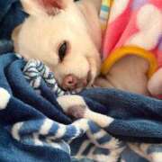 ヒメ日記 2026/01/10 08:20 投稿 なつみ Beppin house