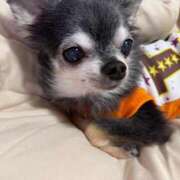 ヒメ日記 2026/01/10 22:20 投稿 なつみ Beppin house