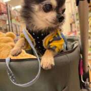 ヒメ日記 2026/01/11 23:10 投稿 なつみ Beppin house