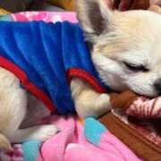 ヒメ日記 2026/01/12 11:34 投稿 なつみ Beppin house