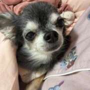 ヒメ日記 2026/01/25 06:18 投稿 なつみ Beppin house