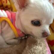 ヒメ日記 2026/01/25 13:20 投稿 なつみ Beppin house