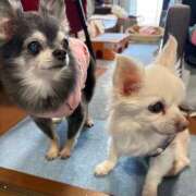 ヒメ日記 2026/01/25 15:50 投稿 なつみ Beppin house