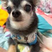 ヒメ日記 2026/01/25 23:40 投稿 なつみ Beppin house