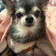 ヒメ日記 2026/01/26 09:50 投稿 なつみ Beppin house