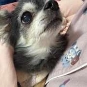 ヒメ日記 2026/01/26 14:30 投稿 なつみ Beppin house