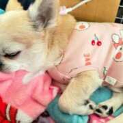 ヒメ日記 2026/01/28 09:11 投稿 なつみ Beppin house