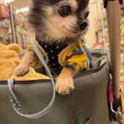 ヒメ日記 2026/01/28 16:40 投稿 なつみ Beppin house