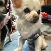 ヒメ日記 2026/01/29 09:20 投稿 なつみ Beppin house