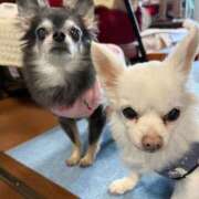 ヒメ日記 2026/01/31 15:37 投稿 なつみ Beppin house