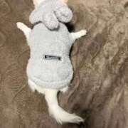 ヒメ日記 2026/02/01 20:21 投稿 なつみ Beppin house