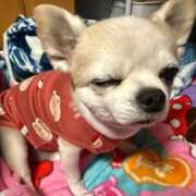 ヒメ日記 2026/02/02 16:20 投稿 なつみ Beppin house