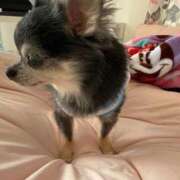 ヒメ日記 2026/02/02 22:38 投稿 なつみ Beppin house