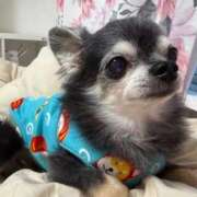 ヒメ日記 2026/02/04 08:50 投稿 なつみ Beppin house