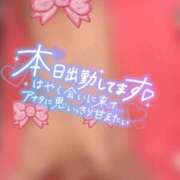 ヒメ日記 2026/02/04 14:30 投稿 なつみ Beppin house