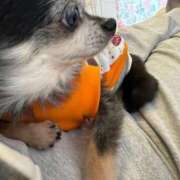 ヒメ日記 2026/02/05 10:21 投稿 なつみ Beppin house