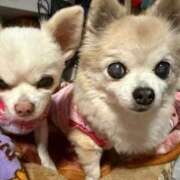 ヒメ日記 2026/02/08 06:20 投稿 なつみ Beppin house