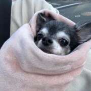 ヒメ日記 2026/02/09 08:20 投稿 なつみ Beppin house