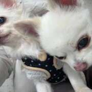 ヒメ日記 2026/02/09 14:20 投稿 なつみ Beppin house