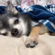 ヒメ日記 2026/02/09 15:27 投稿 なつみ Beppin house