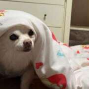 ヒメ日記 2026/02/15 16:20 投稿 なつみ Beppin house