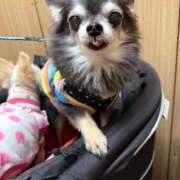 ヒメ日記 2026/03/17 05:40 投稿 なつみ Beppin house