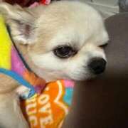 ヒメ日記 2026/03/18 06:42 投稿 なつみ Beppin house