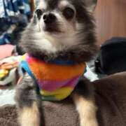 ヒメ日記 2026/03/18 11:30 投稿 なつみ Beppin house