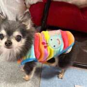 ヒメ日記 2026/03/18 14:35 投稿 なつみ Beppin house