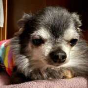 ヒメ日記 2026/03/19 17:50 投稿 なつみ Beppin house