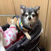 ヒメ日記 2026/03/21 07:40 投稿 なつみ Beppin house