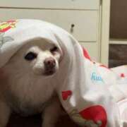 ヒメ日記 2026/03/21 18:00 投稿 なつみ Beppin house