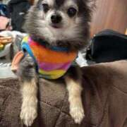 ヒメ日記 2026/03/25 17:20 投稿 なつみ Beppin house