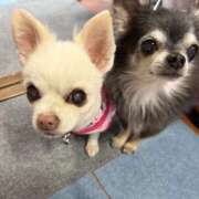 ヒメ日記 2026/03/25 18:20 投稿 なつみ Beppin house