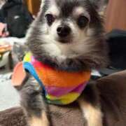 ヒメ日記 2026/03/27 03:20 投稿 なつみ Beppin house