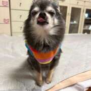 ヒメ日記 2026/03/27 12:50 投稿 なつみ Beppin house