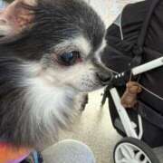 ヒメ日記 2026/03/27 14:20 投稿 なつみ Beppin house