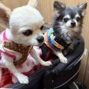 ヒメ日記 2026/03/27 18:00 投稿 なつみ Beppin house