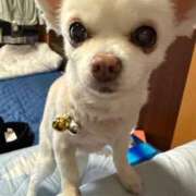 ヒメ日記 2026/03/28 17:30 投稿 なつみ Beppin house