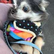 ヒメ日記 2026/03/29 06:40 投稿 なつみ Beppin house