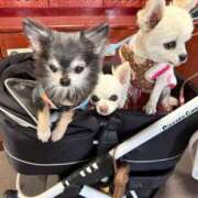 なつみ 特殊能力💖 Beppin house